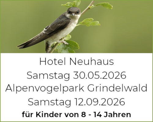 entdecke die Vogelwelt